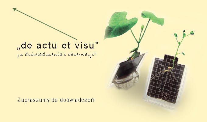 Edukacja środowiskowa, doświadczenia i obserwacje