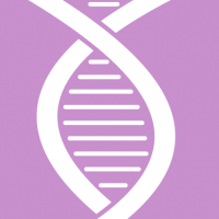 Genetyka / Komórka