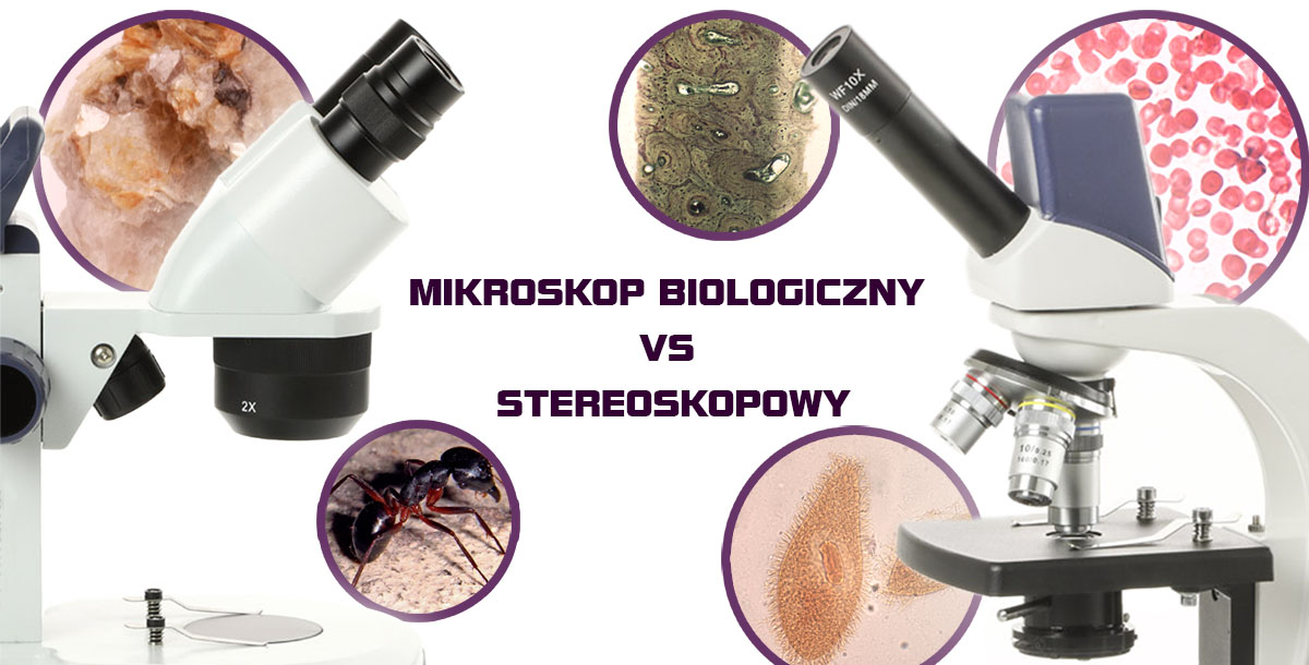 Porównanie mikroskopu stereoskopowego i biologicznego