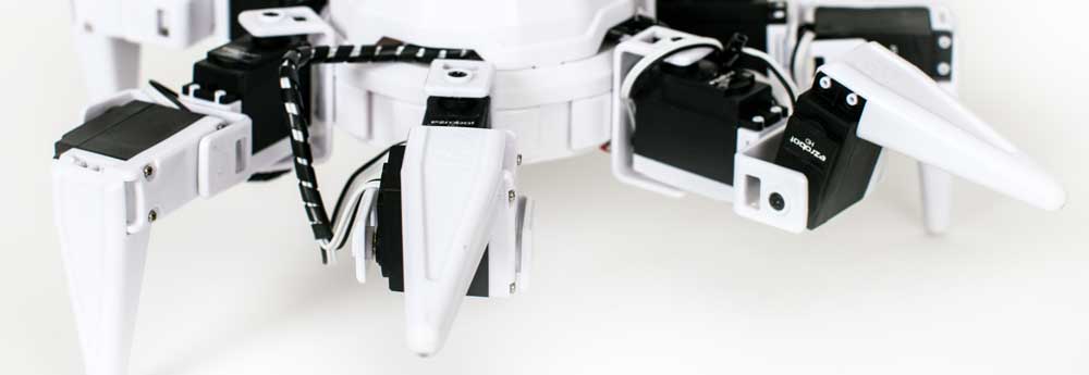 Six hexapod robot